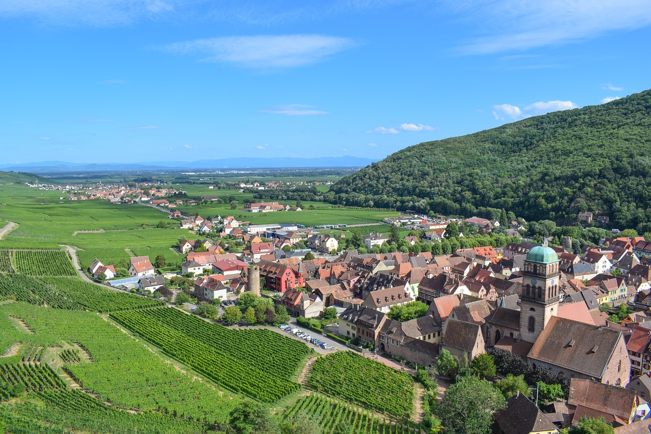 Découverte de la Route des Vins d'Alsace en 5 jours